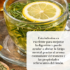 infusiones 2 200 Infusiones
